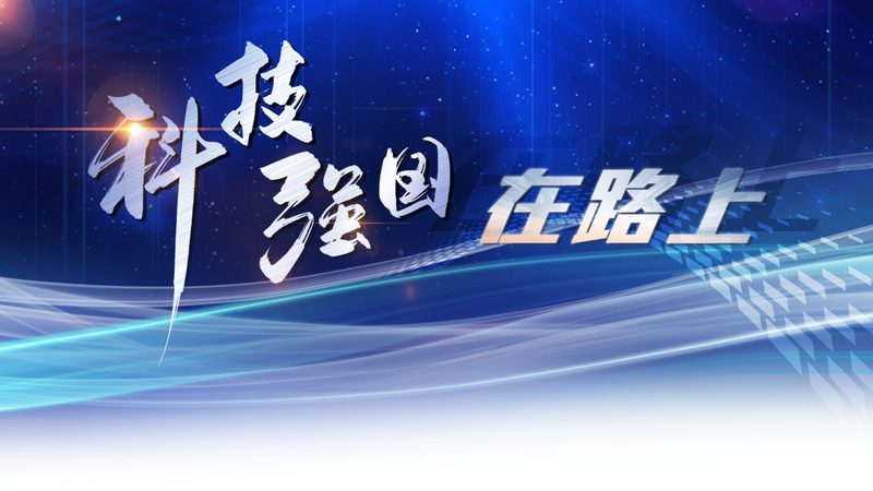 企业数字化平台搭建：性价比高的关键考量**